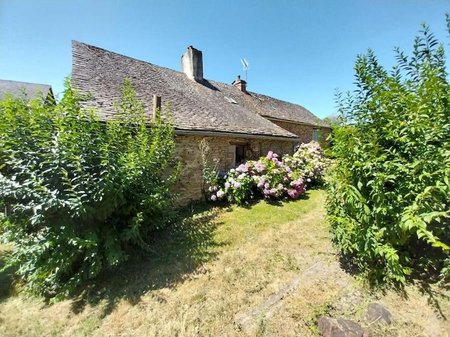 Maison En Pierres Pradinas Exteriér fotografie